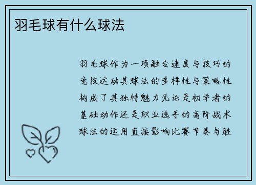 羽毛球有什么球法